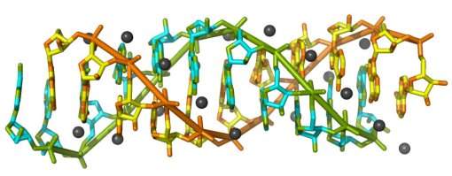 RNA de dupla hlice