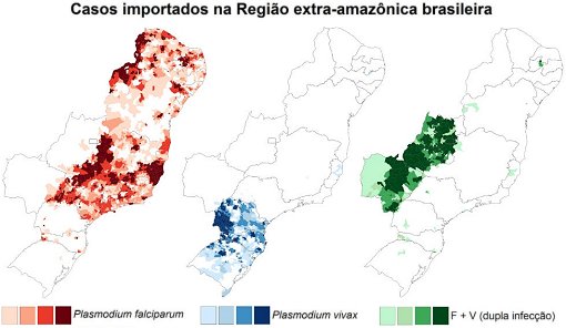 Malria fora da Amaznia exige treinamento de mdicos