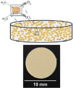 Biomaterial leva oxignio para clulas produtoras de insulina