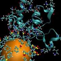 Nanopartculas de ouro transportam medicamentos para tratar o cncer