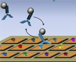 Biochip acelera desenvolvimento de medicamentos