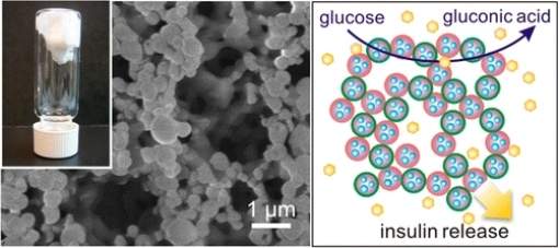 Diabetes: Nanorrede injetvel controla nveis de acar no sangue