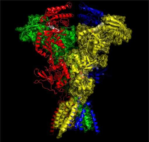 Mais importante receptor do crebro  visto em 3D