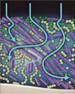 Nanomaterial antimicrobiano inova odontologia