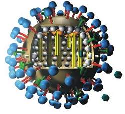 Mapeamento de mutaes do vrus H5N1 d prmio a pesquisadora brasileira